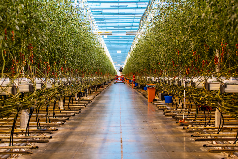 20211208 agro care 1533